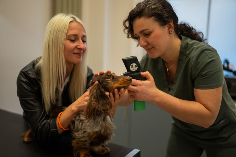 Follow-up Consultation